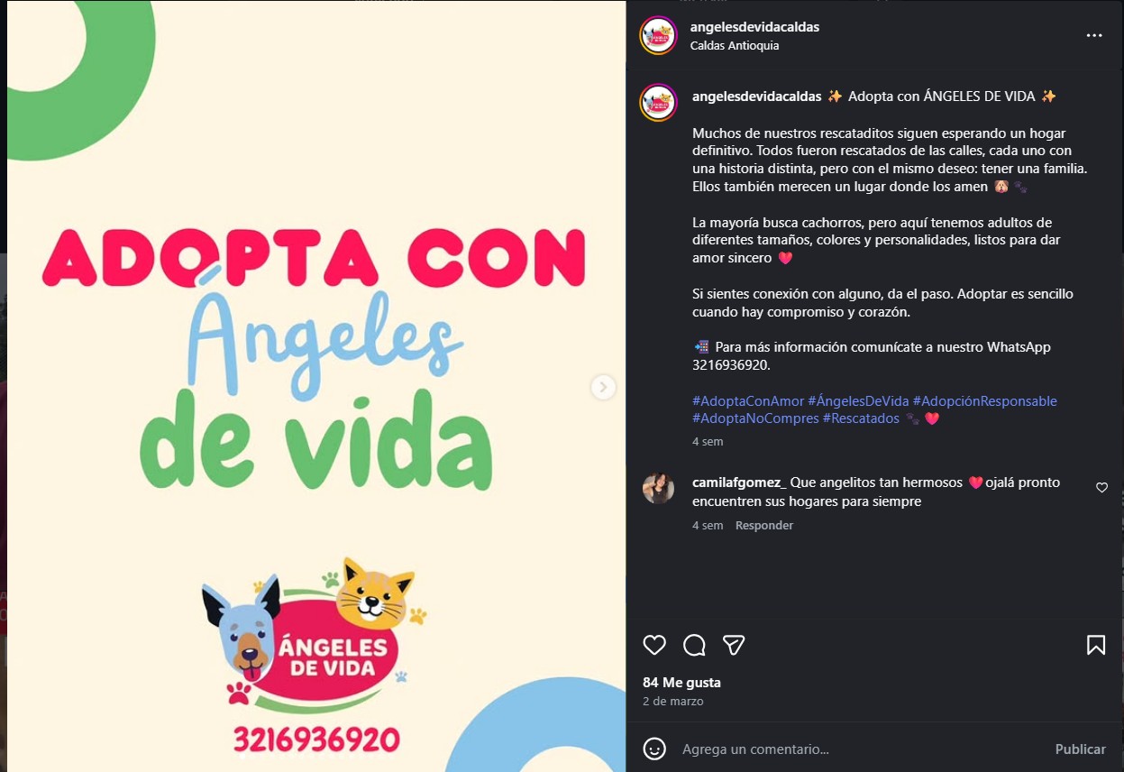Mascota feliz rescatada