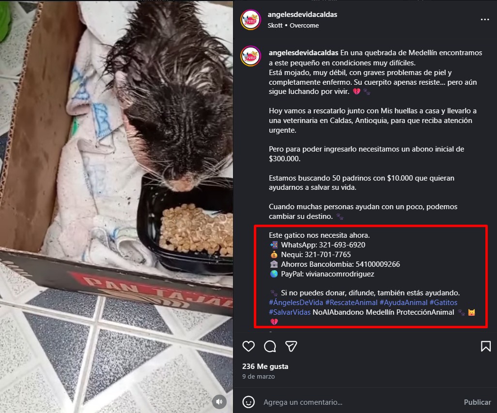 Información de Donaciones Bancarias