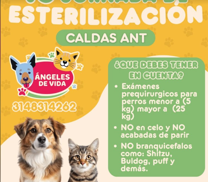Jornada de Esterilización Ángeles de Vida