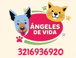 Logotipo Oficial con Teléfono