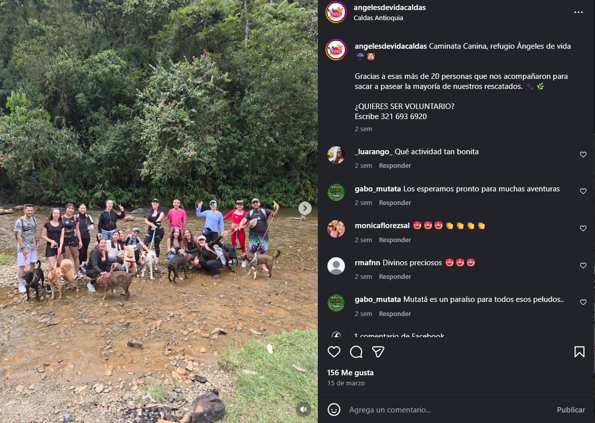 Paseo de perros rescatados