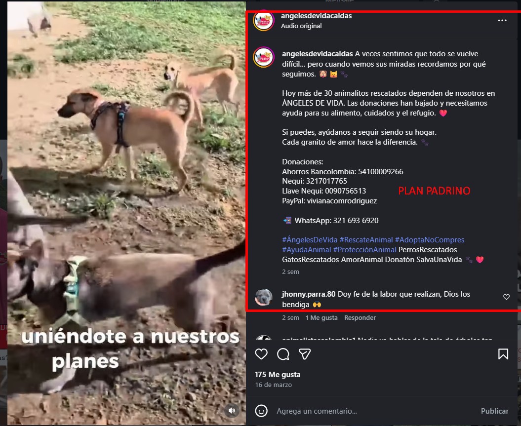 Mascota con su nueva dueña